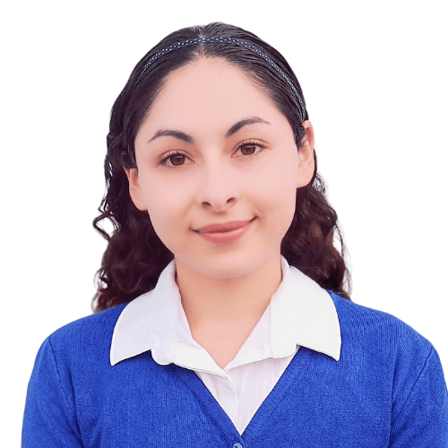 Psicóloga en línea: Nancy Casandra Santa Cruz Diliegros