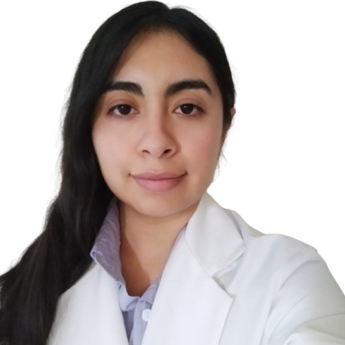 Psicóloga en línea: Diana Esmeralda Mendoza Sandoval